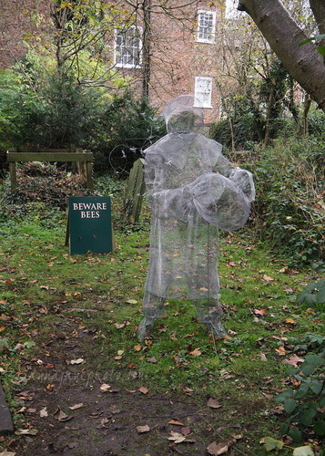 20241103-york-ghosts-1.jpg