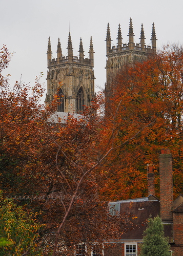 20241103-york-minster.jpg