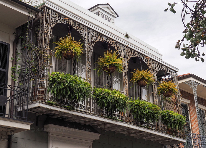 20250114-chartres-street.jpg