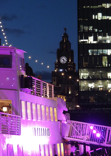 20251029-daffodil-liver-building.JPG