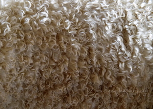 Angora Goat Hair