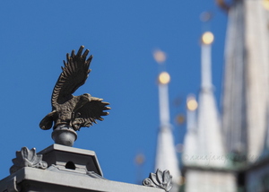 Lamppost Eagle